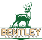 Bentley Elementary School